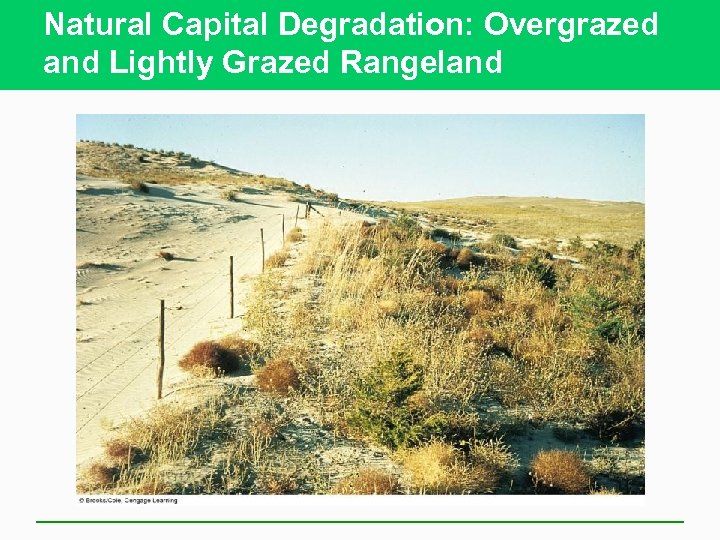 Natural Capital Degradation: Overgrazed and Lightly Grazed Rangeland 