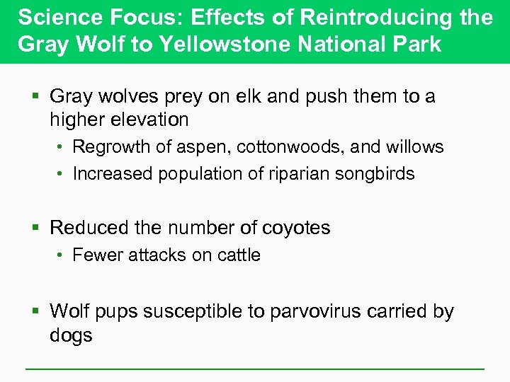 Science Focus: Effects of Reintroducing the Gray Wolf to Yellowstone National Park § Gray