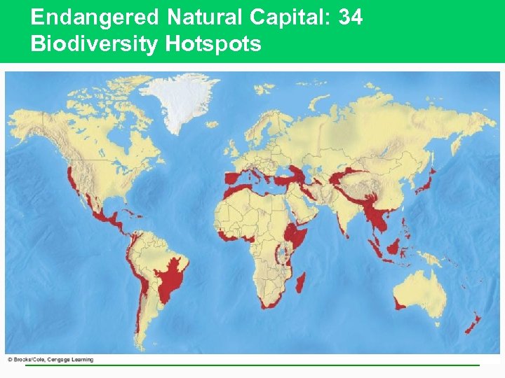 Endangered Natural Capital: 34 Biodiversity Hotspots 