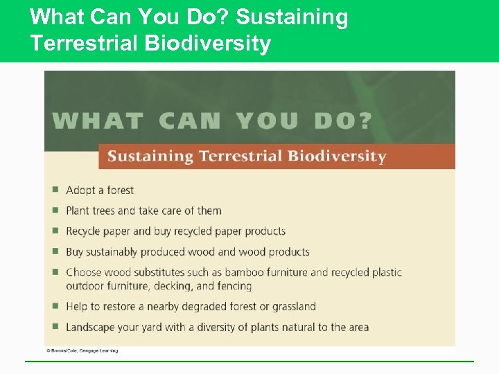 What Can You Do? Sustaining Terrestrial Biodiversity 