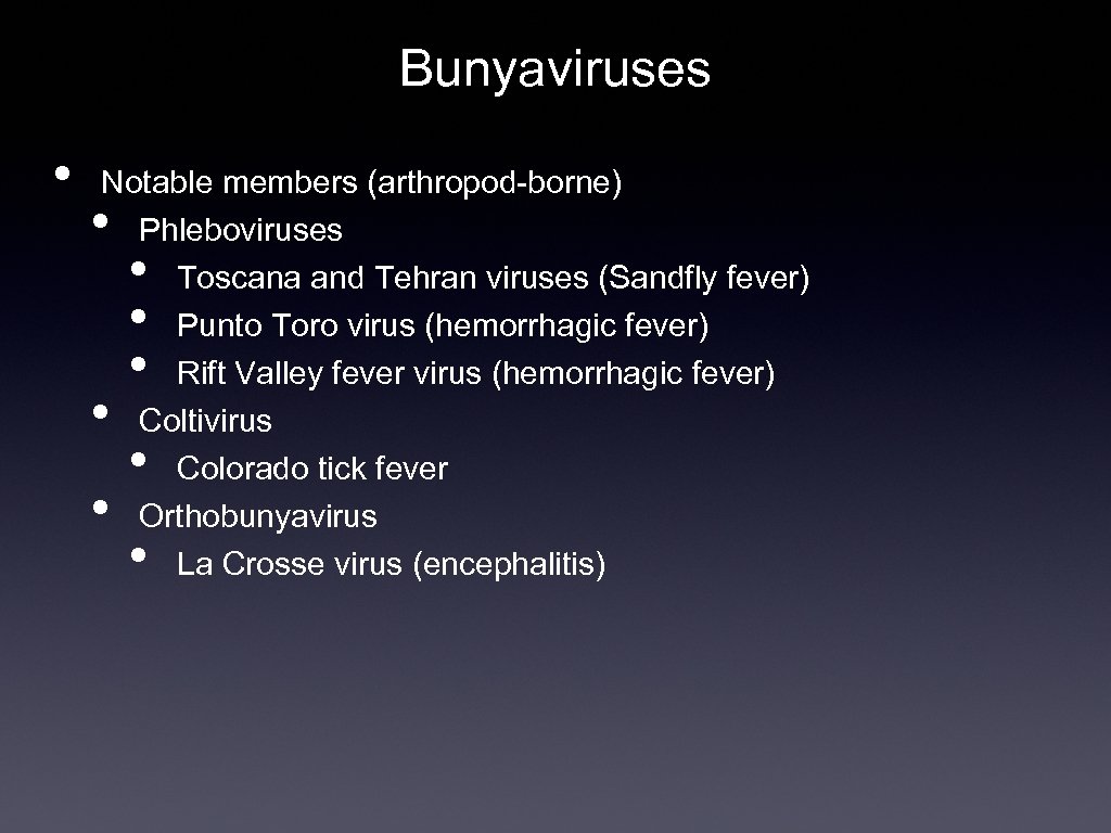 Bunyaviruses • Notable members (arthropod-borne) Phleboviruses Toscana and Tehran viruses (Sandfly fever) Punto Toro