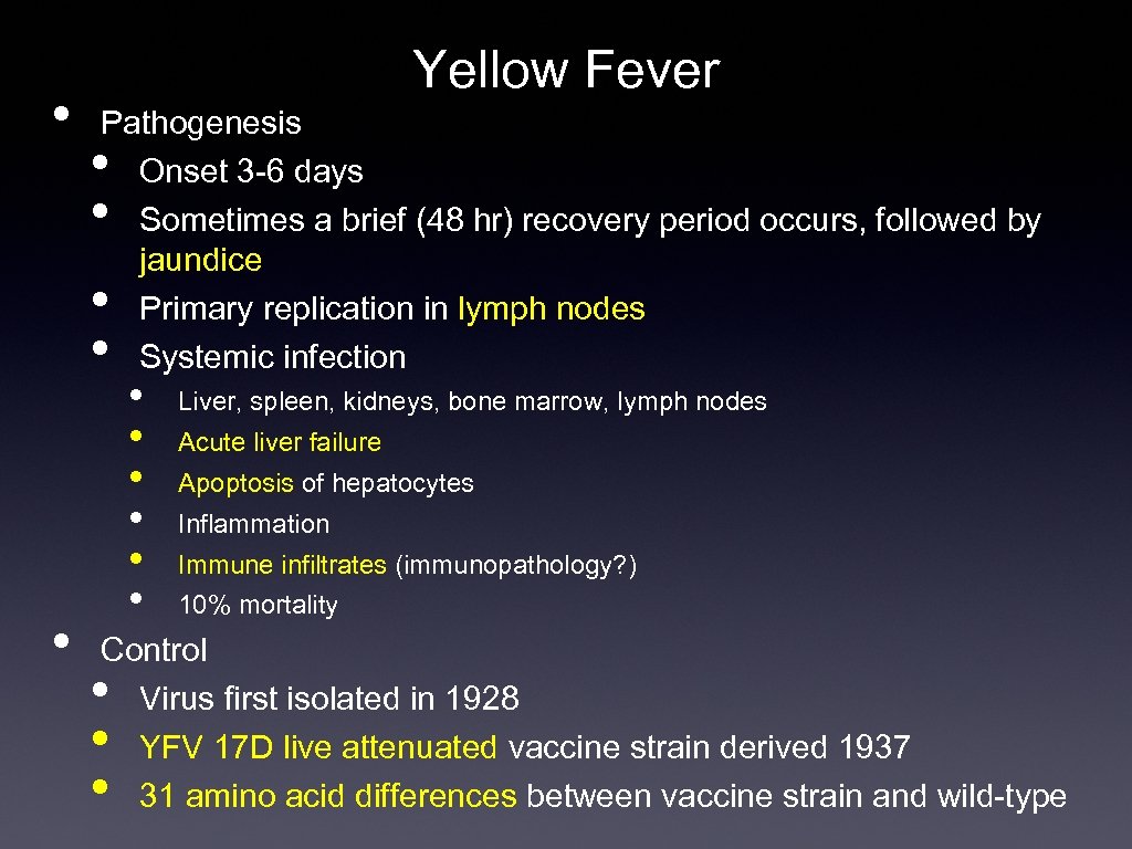  • Yellow Fever Pathogenesis Onset 3 -6 days Sometimes a brief (48 hr)