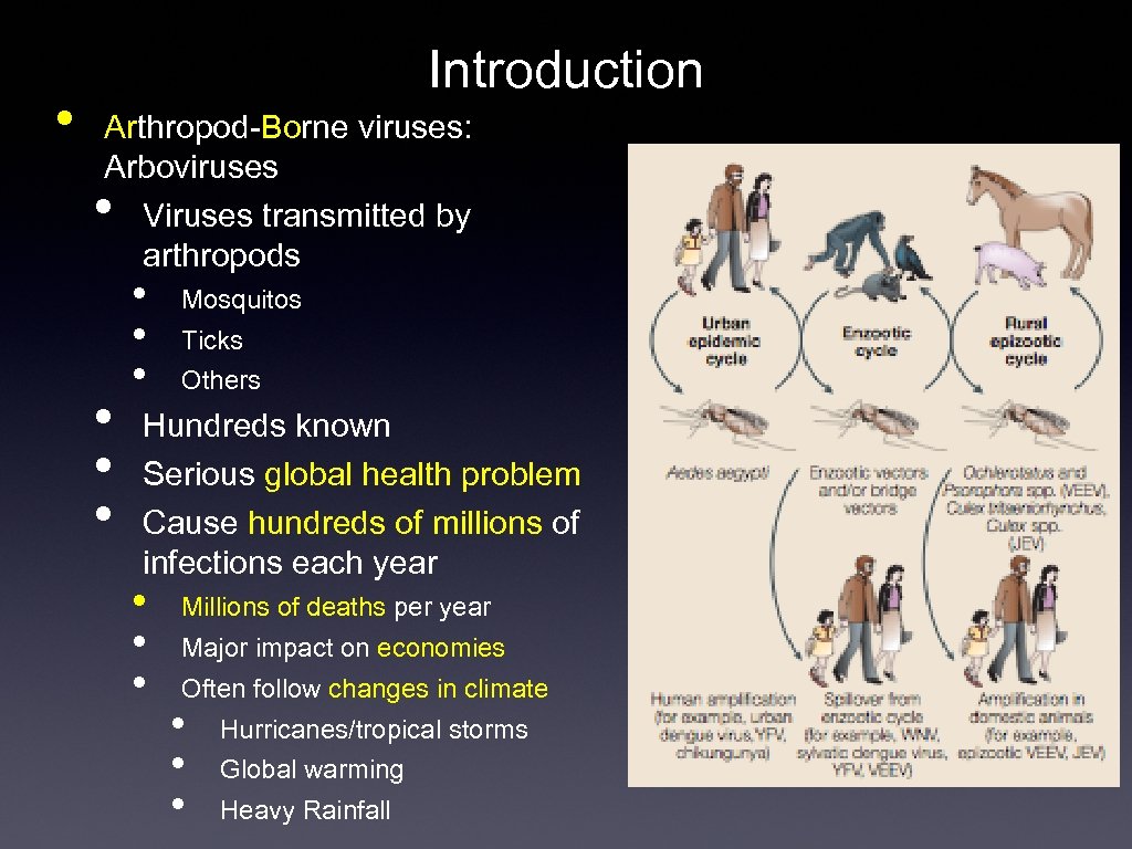  • Introduction Arthropod-Borne viruses: Arboviruses Viruses transmitted by arthropods • • Mosquitos Ticks