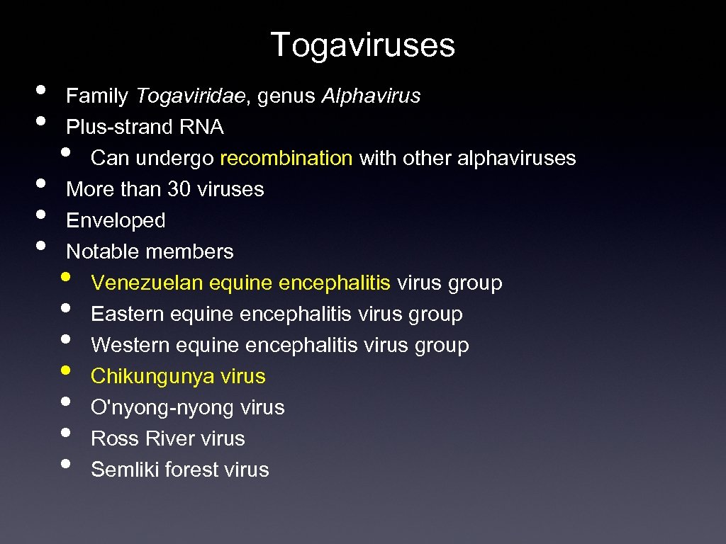 Togaviruses • • • Family Togaviridae, genus Alphavirus Plus-strand RNA Can undergo recombination with