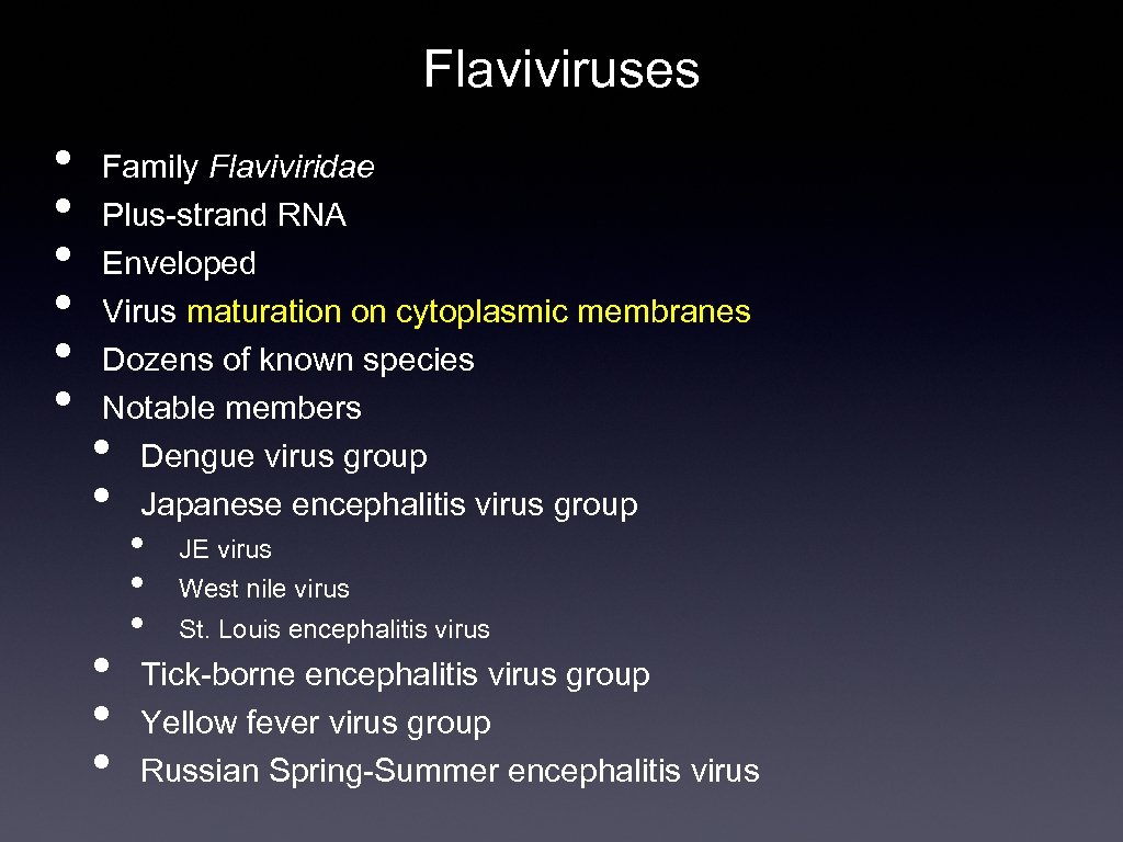 Flaviviruses • • • Family Flaviviridae Plus-strand RNA Enveloped Virus maturation on cytoplasmic membranes