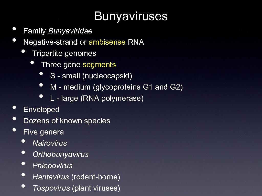  • • • Bunyaviruses Family Bunyaviridae Negative-strand or ambisense RNA Tripartite genomes Three