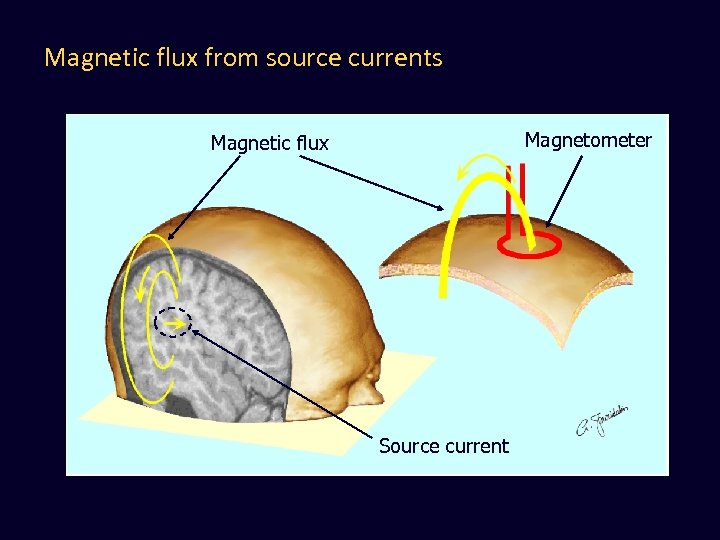 Magnetic flux from source currents Magnetometer Magnetic flux Source current 