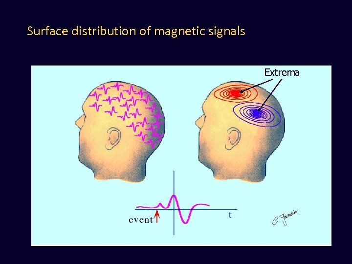 Surface distribution of magnetic signals Extrema 