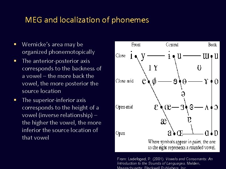 MEG and localization of phonemes § Wernicke’s area may be organized phonemotopically § The