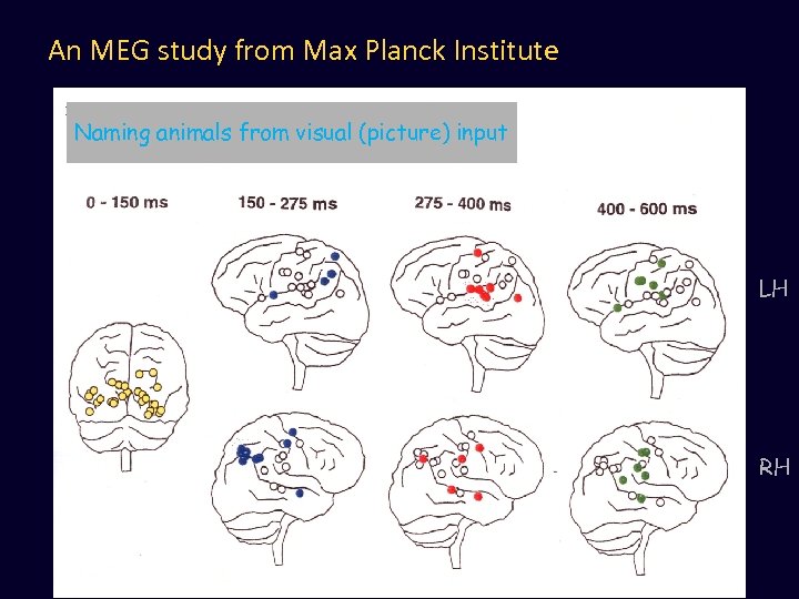 An MEG study from Max Planck Institute Naming animals from visual (picture) input LH