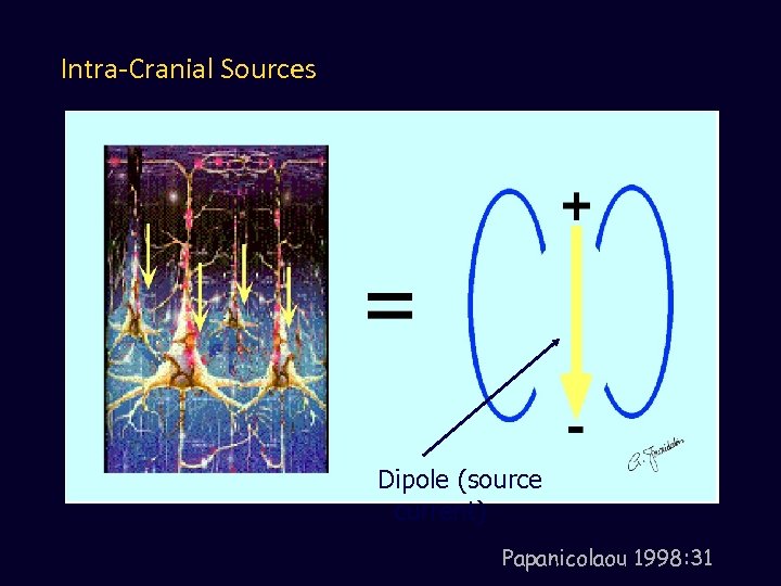 Intra-Cranial Sources Dipole (source current) Papanicolaou 1998: 31 