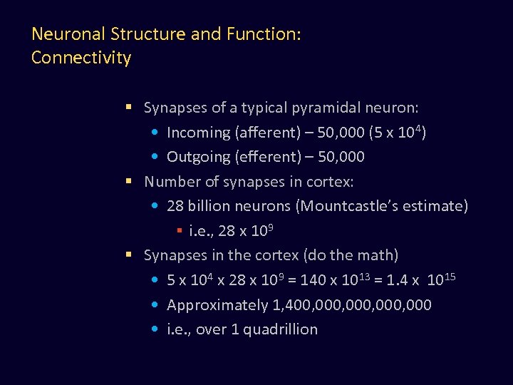 Neuronal Structure and Function: Connectivity § Synapses of a typical pyramidal neuron: • Incoming