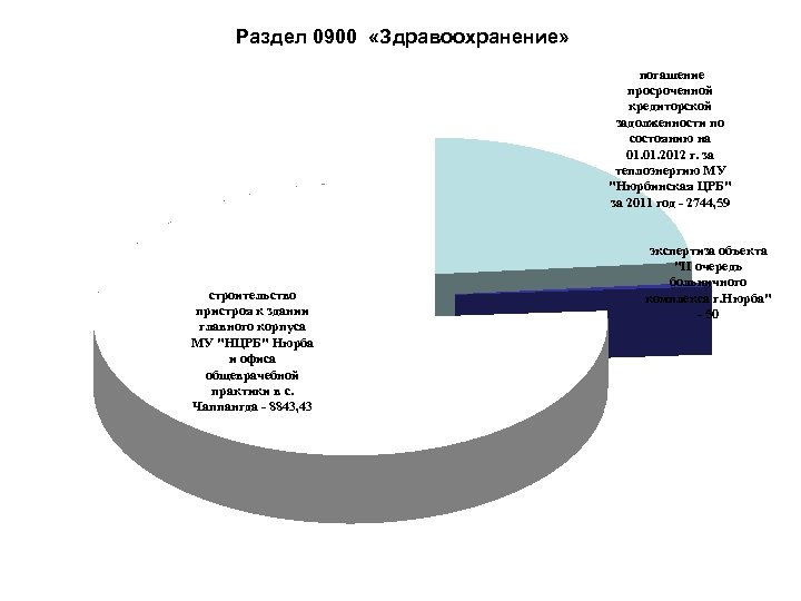  Раздел 0900 «Здравоохранение» погашение просроченной кредиторской задолженности по состоянию на 01. 2012 г.