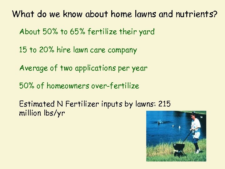What do we know about home lawns and nutrients? About 50% to 65% fertilize