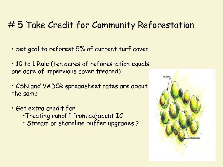 # 5 Take Credit for Community Reforestation • Set goal to reforest 5% of