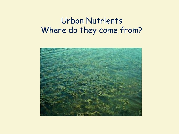 Urban Nutrients Where do they come from? 