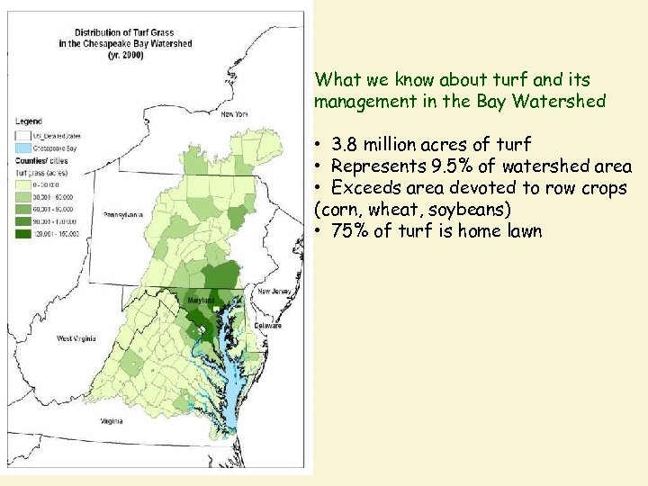 What we know about turf and its management in the Bay Watershed • 3.
