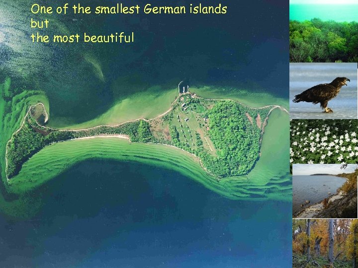 One of the smallest German islands but the most beautiful Gisela Stolpe, Bf. N