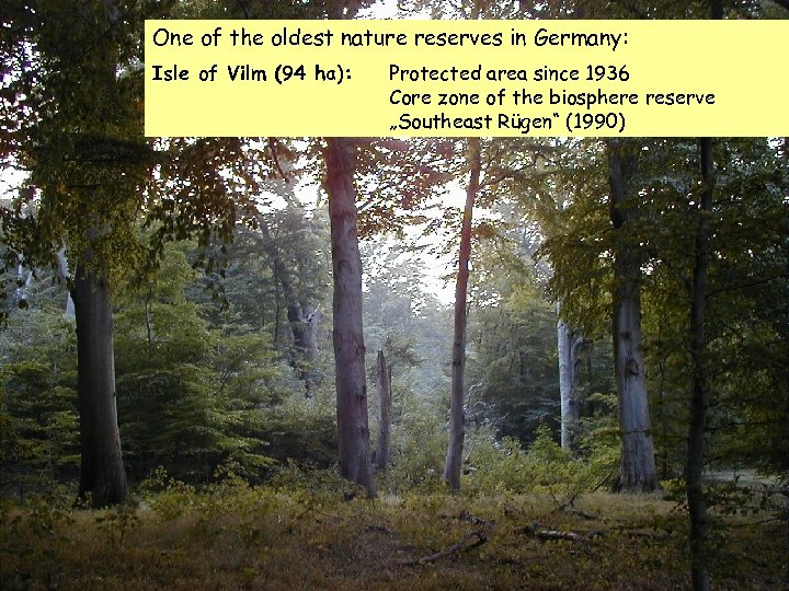 One of the oldest nature reserves in Germany: Isle of Vilm (94 ha): Protected