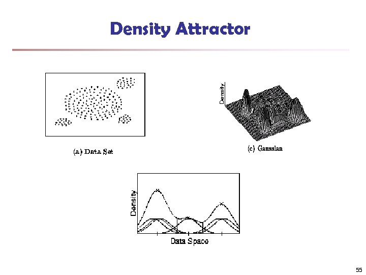 Density Attractor 55 