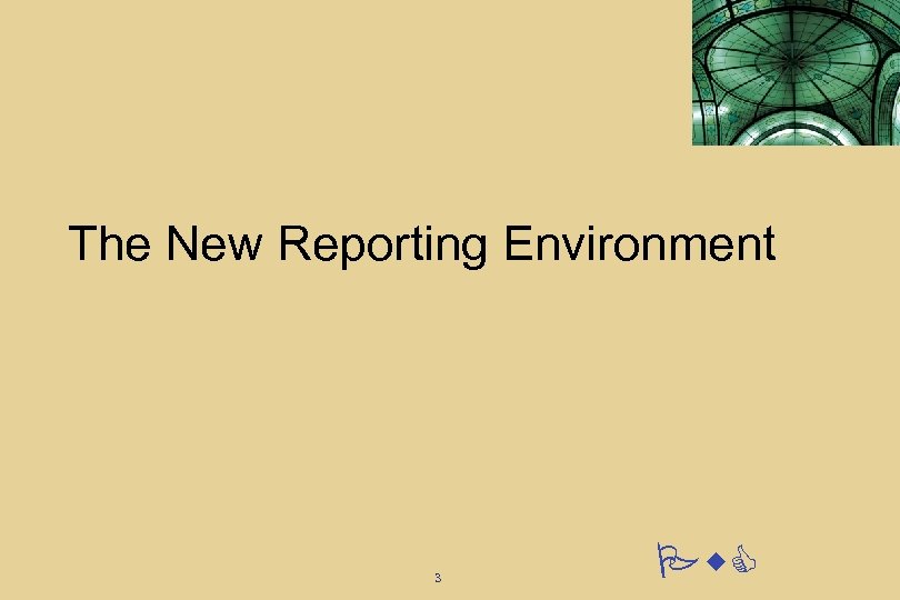 The New Reporting Environment 3 Pw. C 