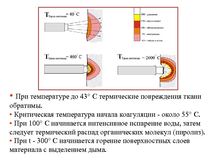  • При температуре до 43° С термические повреждения ткани обратимы. • Критическая температура