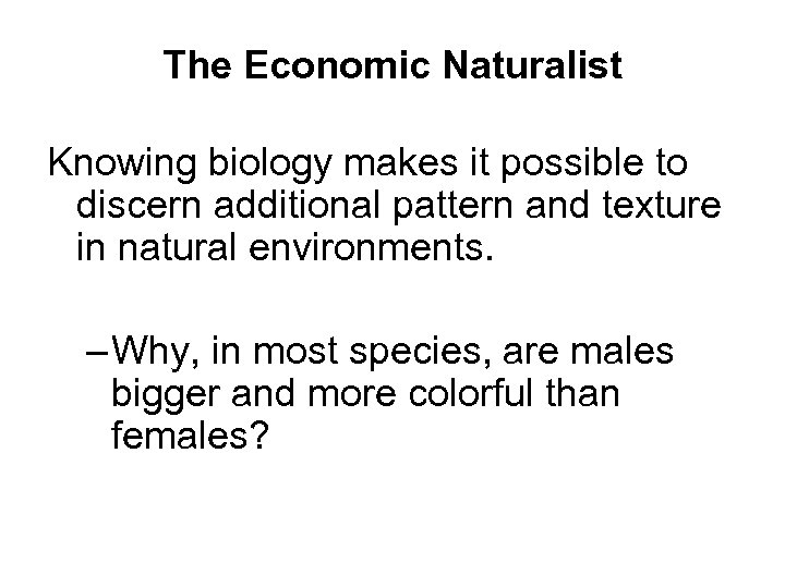 economic naturalist essay