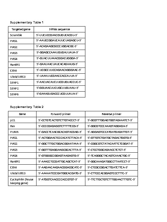 Supplementary Table 1 Targeted gene Si. RNA sequence Scramble 5’-UUCUCCGAACGUGUCACGU-3’ PIAS 1 5’-AAUCCGGAUCAUUCUAGAGCU-3’ PIAS