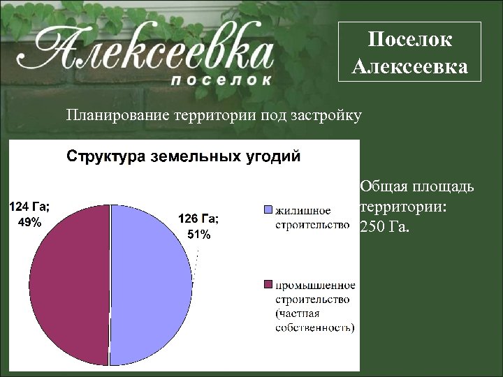 Поселок Алексеевка Планирование территории под застройку Общая площадь территории: 250 Га. 