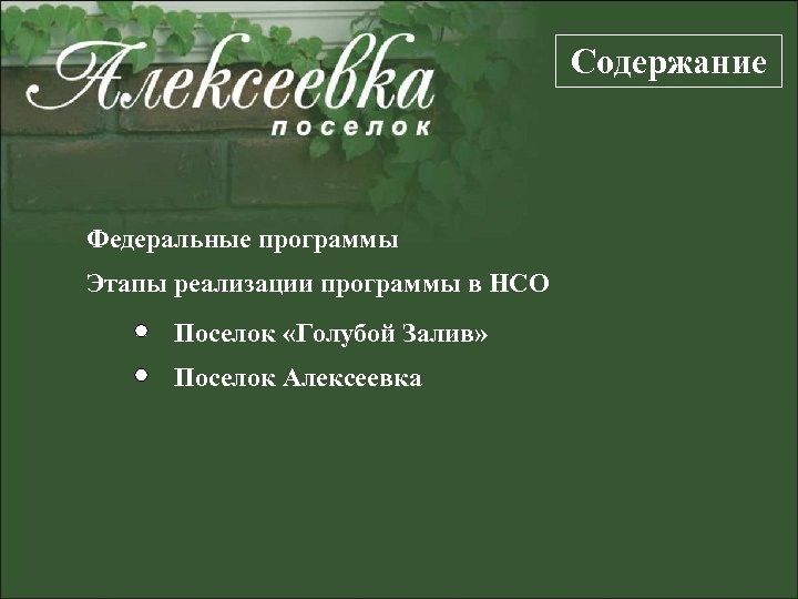 Содержание Федеральные программы Этапы реализации программы в НСО Поселок «Голубой Залив» Поселок Алексеевка 