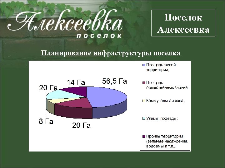 Поселок Алексеевка Планирование инфраструктуры поселка 