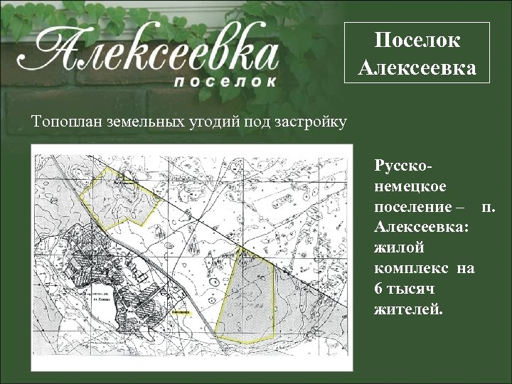 Поселок Алексеевка Топоплан земельных угодий под застройку Руссконемецкое поселение – п. Алексеевка: жилой комплекс