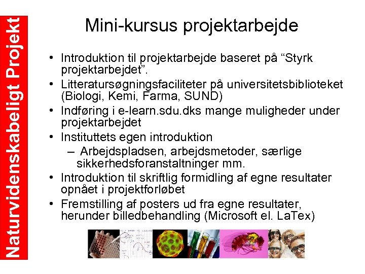 Naturvidenskabeligt Projekt Mini kursus projektarbejde • Introduktion til projektarbejde baseret på “Styrk projektarbejdet”. •