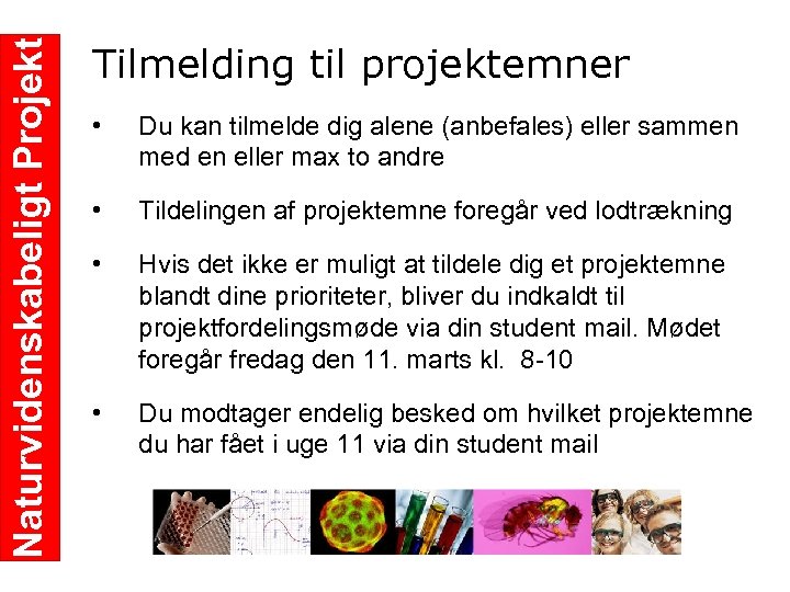 Naturvidenskabeligt Projekt Tilmelding til projektemner • Du kan tilmelde dig alene (anbefales) eller sammen
