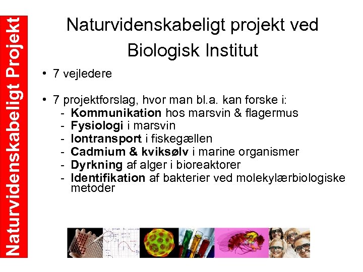 Naturvidenskabeligt Projekt Naturvidenskabeligt projekt ved Biologisk Institut • 7 vejledere • 7 projektforslag, hvor