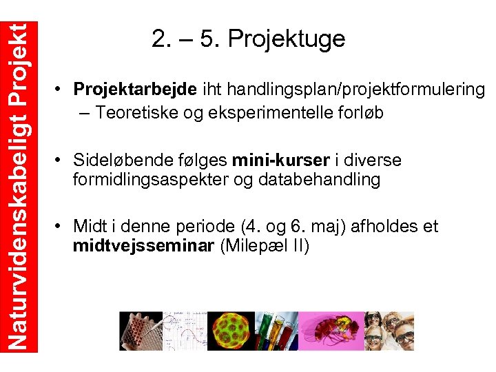 Naturvidenskabeligt Projekt 2. – 5. Projektuge • Projektarbejde iht handlingsplan/projektformulering – Teoretiske og eksperimentelle