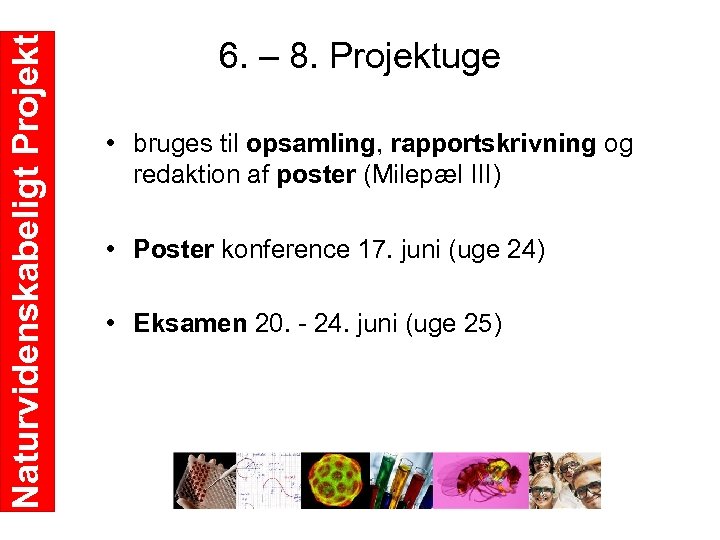 Naturvidenskabeligt Projekt 6. – 8. Projektuge • bruges til opsamling, rapportskrivning og redaktion af