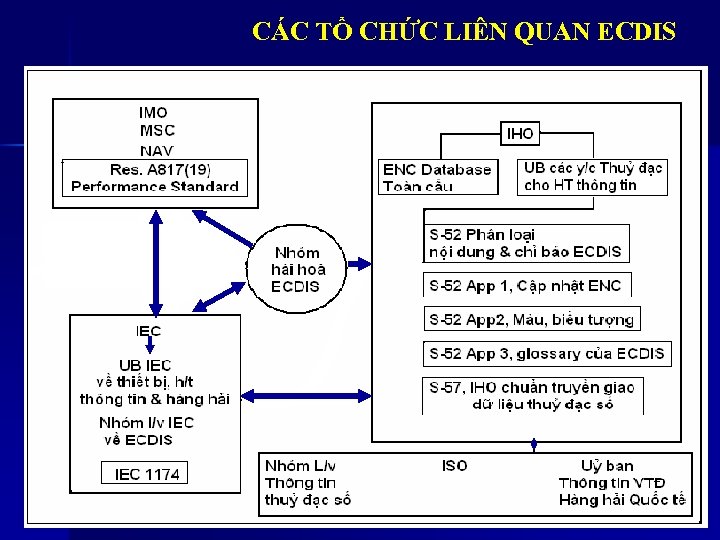 CÁC TỔ CHỨC LIÊN QUAN ECDIS 