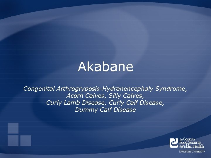Akabane Congenital Arthrogryposis-Hydranencephaly Syndrome, Acorn Calves, Silly Calves, Curly Lamb Disease, Curly Calf Disease,