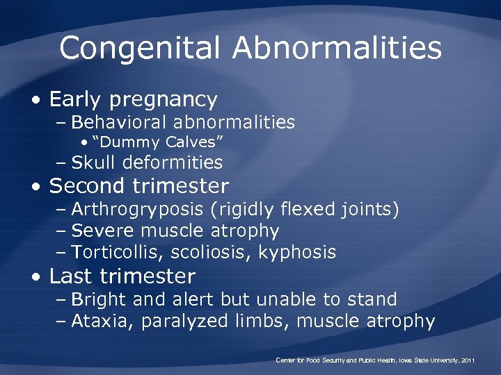 Congenital Abnormalities • Early pregnancy – Behavioral abnormalities • “Dummy Calves” – Skull deformities