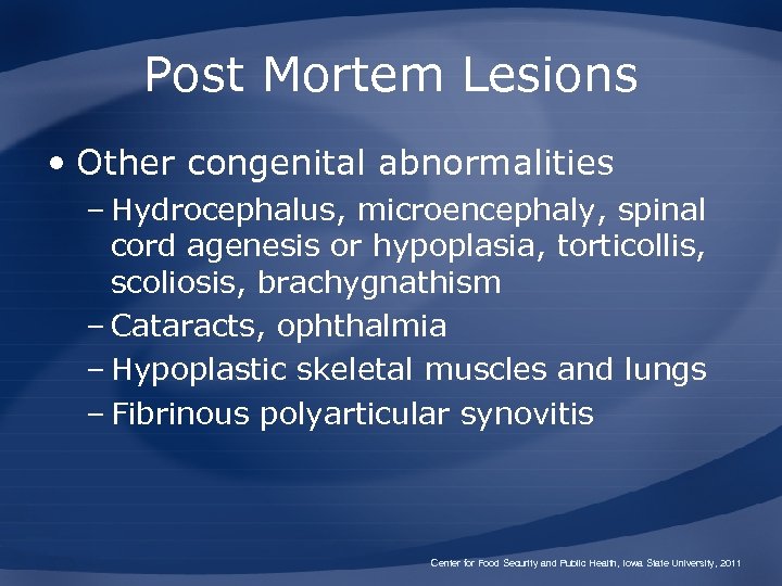 Post Mortem Lesions • Other congenital abnormalities – Hydrocephalus, microencephaly, spinal cord agenesis or