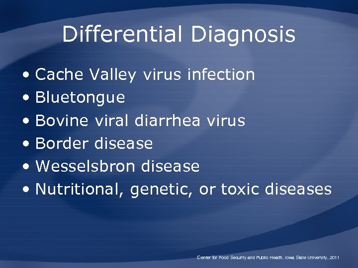 Differential Diagnosis • Cache Valley virus infection • Bluetongue • Bovine viral diarrhea virus
