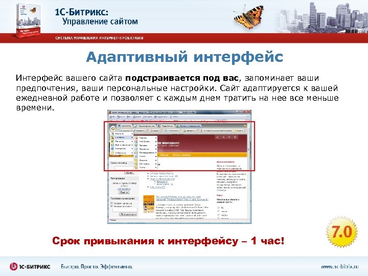 Адаптивный интерфейс Интерфейс вашего сайта подстраивается под вас, запоминает ваши предпочтения, ваши персональные настройки.
