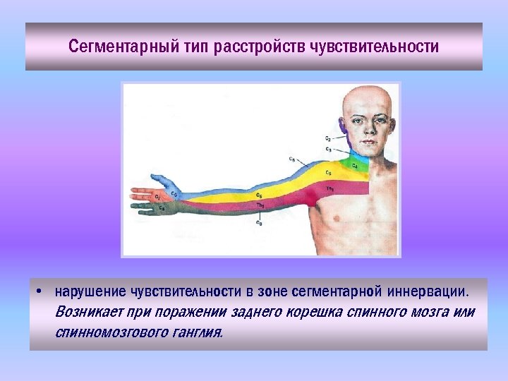 Сегментарный тип расстройств чувствительности • нарушение чувствительности в зоне сегментарной иннервации. Возникает при поражении