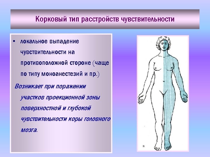 Нарушение чувствительности латынь терминоэлементы