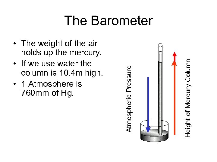 The Barometer • The weight of the air holds up the mercury. • If