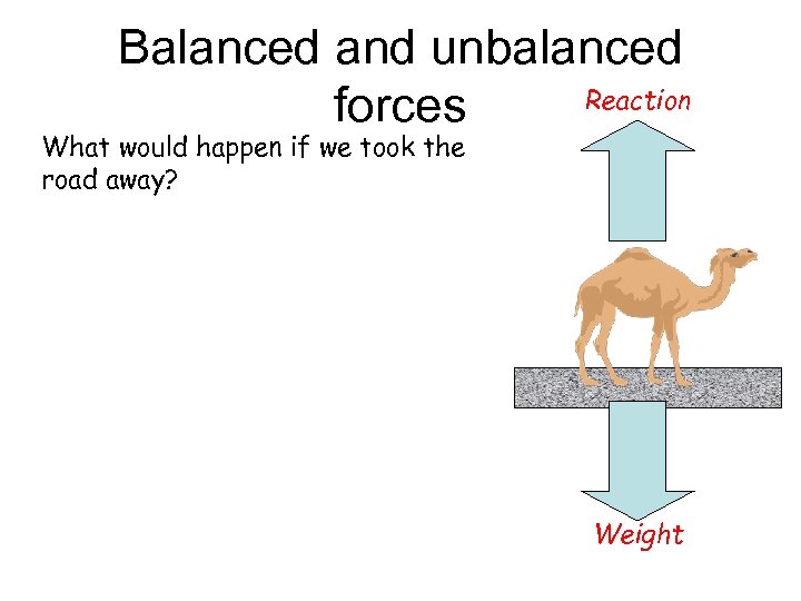 Balanced and unbalanced Reaction forces What would happen if we took the road away?