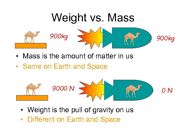 Weight vs. Mass 900 kg • Mass is the amount of matter in us