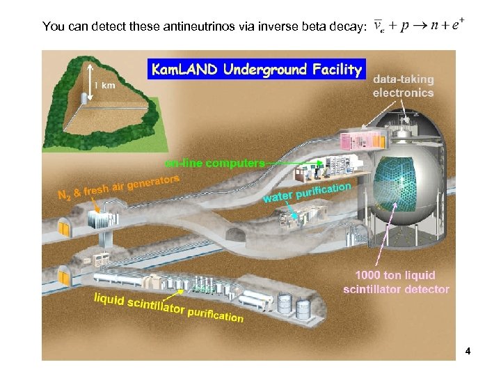 You can detect these antineutrinos via inverse beta decay: 4 