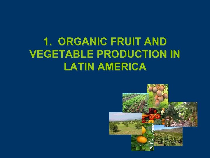 1. ORGANIC FRUIT AND VEGETABLE PRODUCTION IN LATIN AMERICA 